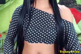 Horny Wild Shemale Hard Fucker