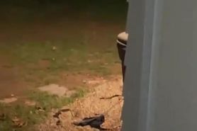 I ll hide around the corner where no one will see