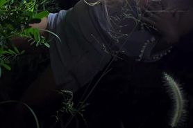 Jungle Jane peeing at Sun up