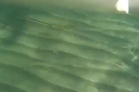 Le Monde du Silence-01