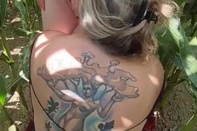 Dans le champ de mais