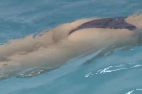 Pool sex with a former swimmer with a great figure