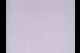 Dian Parkinson PB Video Centerfold 1993