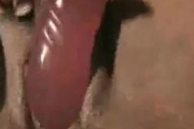 Black BBW Solo Webcam Show