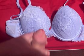 Used Bra cum tribute